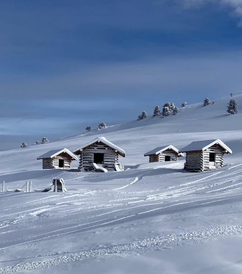 Wolf.tirol *
